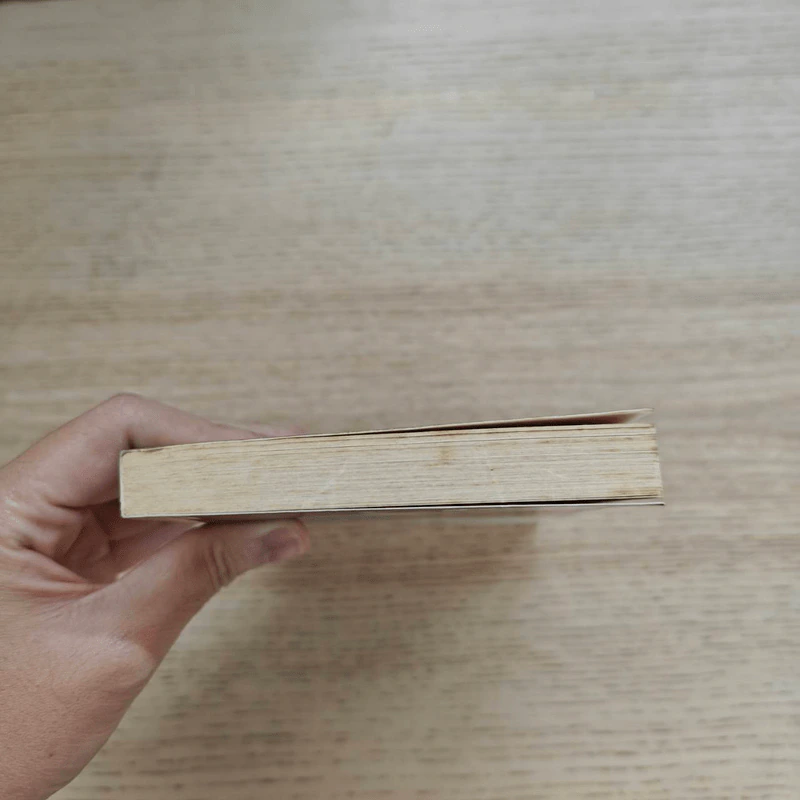 เมื่อฉันหายไปจากโลกใบหนึ่ง - ศิริวร แก้วกาญจน์ รูปที่ 3