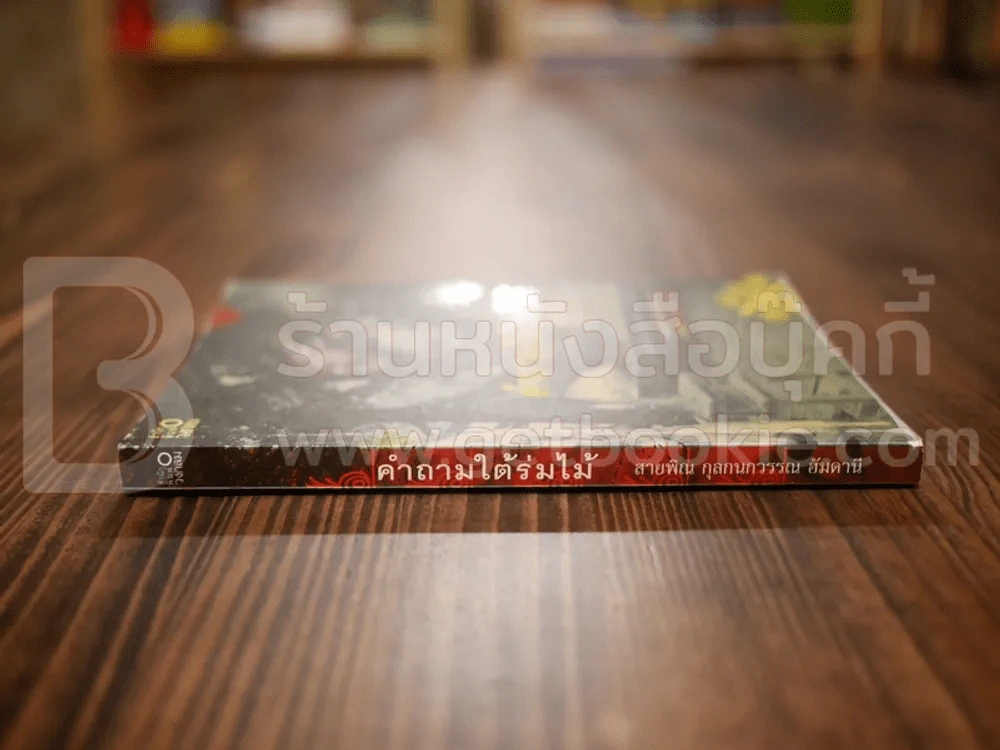 คำถามใต้ร่มไม้ - สายพิณ กุลกนกวรรณ ฮัมดานี รูปที่ 2