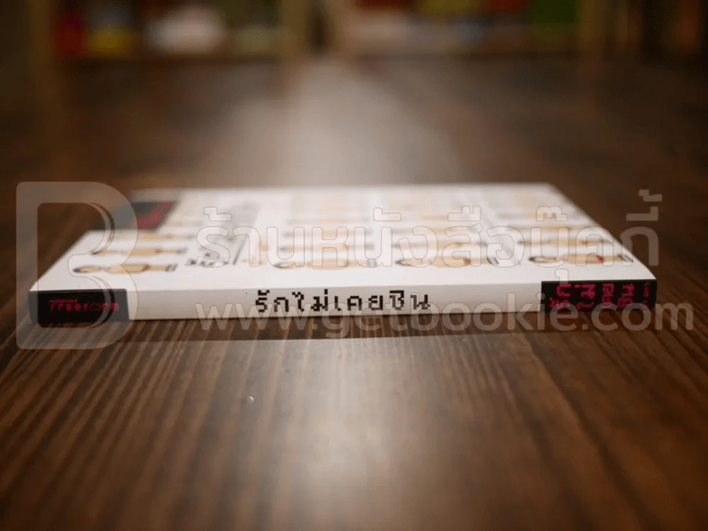 รักไม่เคยชิน - คำ ผกา รูปที่ 2