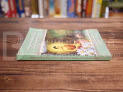 หลักสูตรธรรมศึกษา ชั้นโท ฉบับปรับปรุง พ.ศ.2557 สนามหลวงแผนกธรรม รูปที่ 2