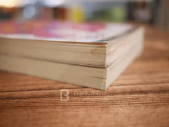 ผู้หญิงร้ายผู้ชายรัก เล่ม 1-2 รูปที่ 5