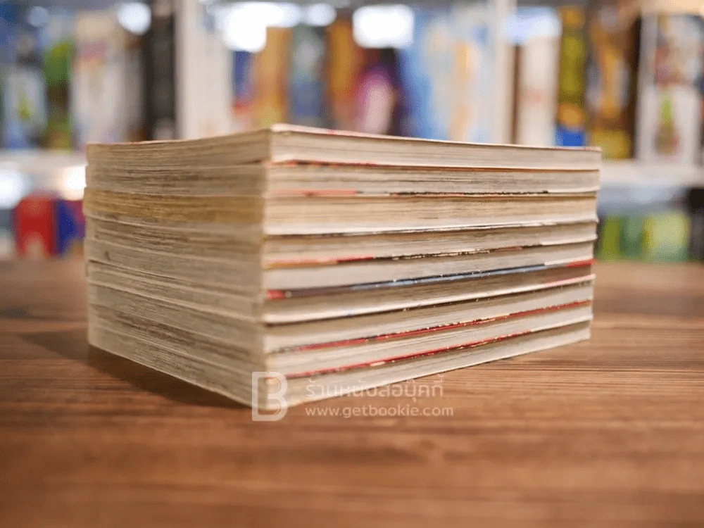 มาเฟียที่รัก 9 เล่มจบ (สภาพดี) รูปที่ 4