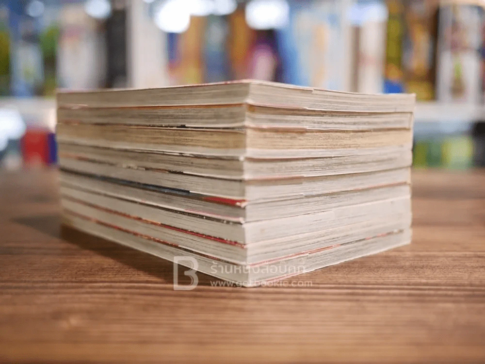 มาเฟียที่รัก 9 เล่มจบ (สภาพดี) รูปที่ 3