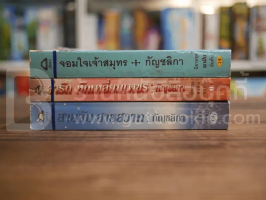 นิยายโรมานซ์ 3 เล่ม 100 ชุดที่ 36 รูปที่ 2