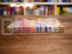 องครักษ์พิทักษ์ใจ รูปที่ 2