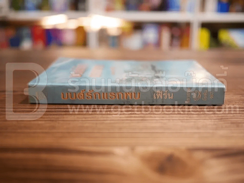 มนต์รักแรกพบ -เฟิร์น รูปที่ 2
