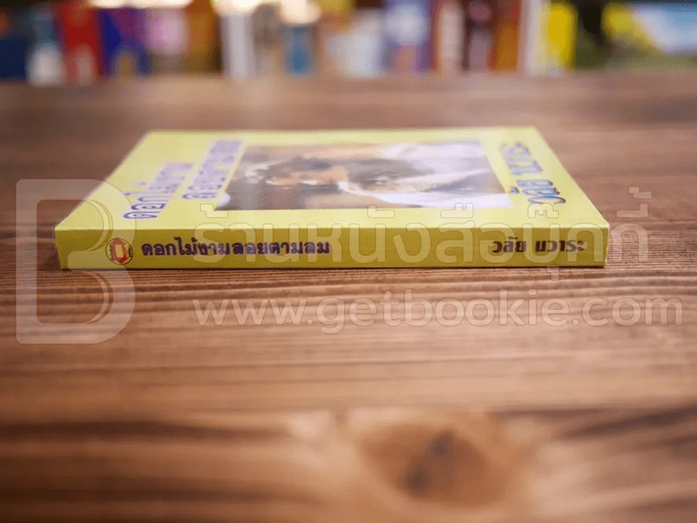 ดอกไม้งามลอยตามลม - วลัย นวาระ รูปที่ 2