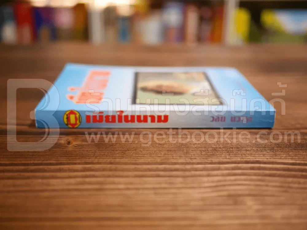 เมียในนาม - วลัย นวาระ รูปที่ 2