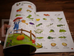 Oh Oh 1,111 Words! Thai - English Picture Dictionary รูปที่ 4