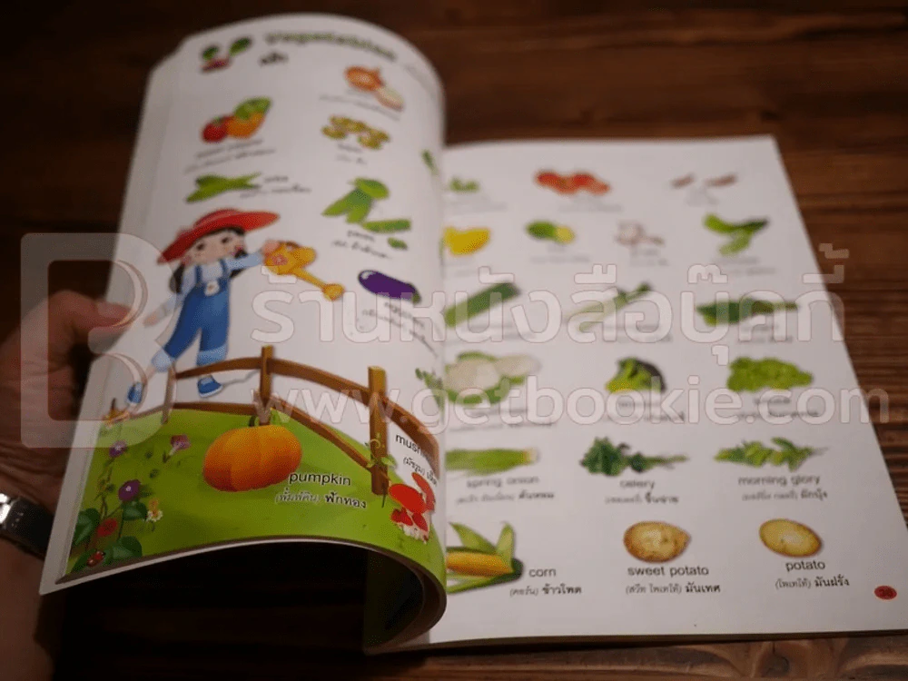 Oh Oh 1,111 Words! Thai - English Picture Dictionary รูปที่ 4