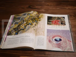 Life หนังสือชุดธรรมชาติ ทะเล รูปที่ 6