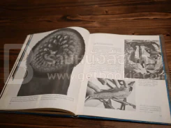 Life หนังสือชุดธรรมชาติ ปลา รูปที่ 7