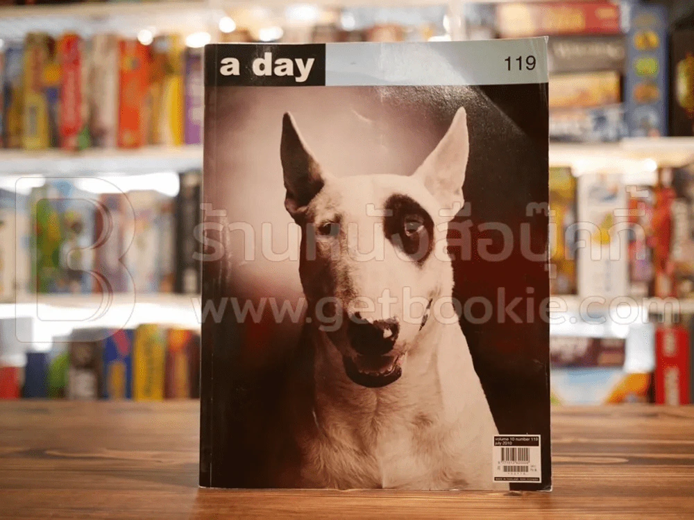 a day 119 รูปที่ 1