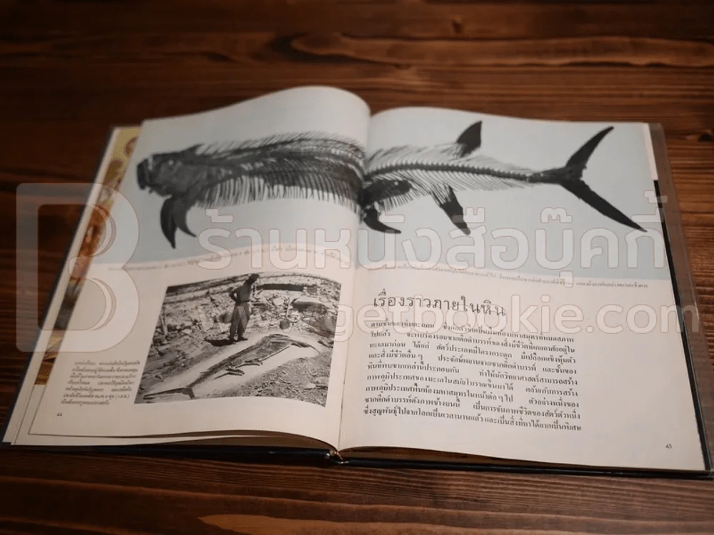 Life หนังสือชุดธรรมชาติ ทะเล รูปที่ 4