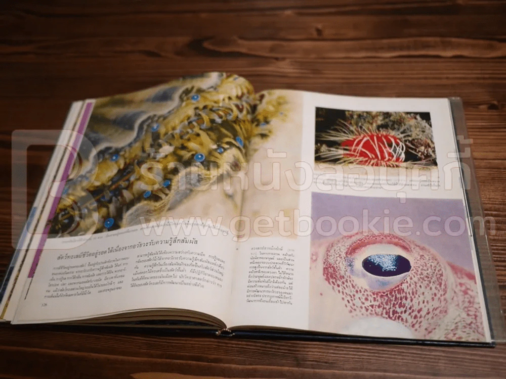 Life หนังสือชุดธรรมชาติ ทะเล รูปที่ 6