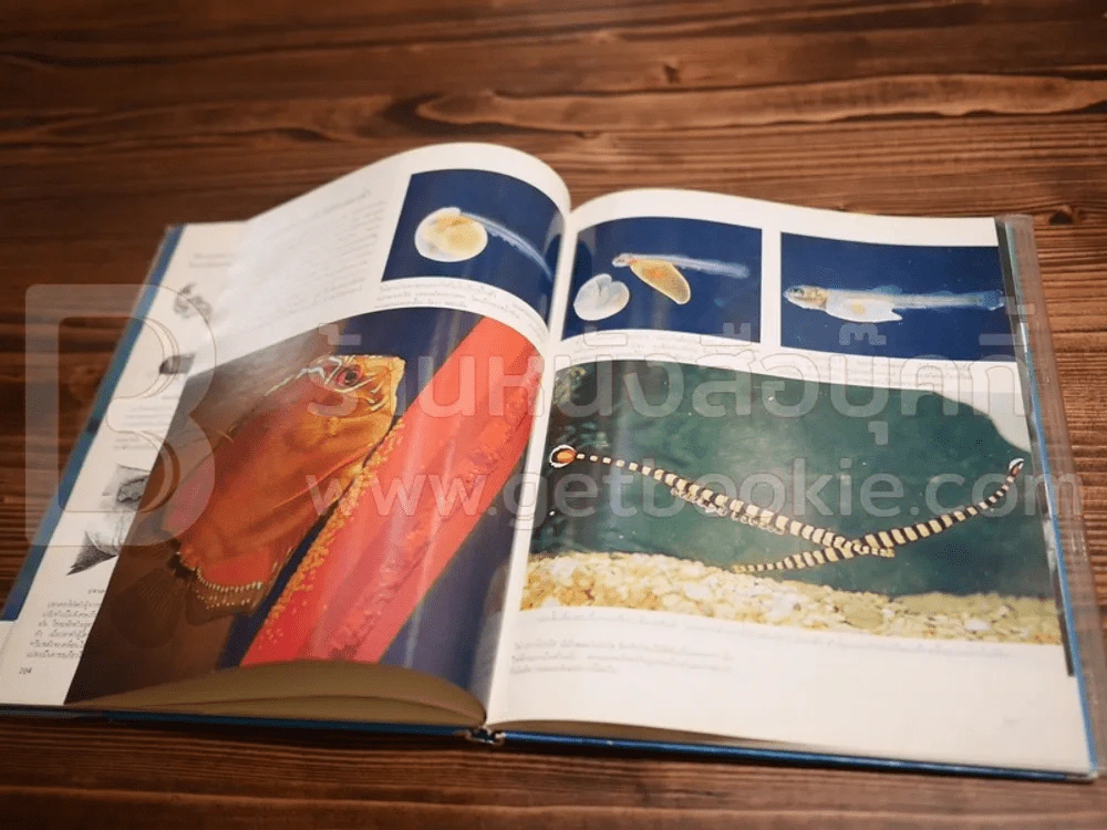 Life หนังสือชุดธรรมชาติ ปลา รูปที่ 6