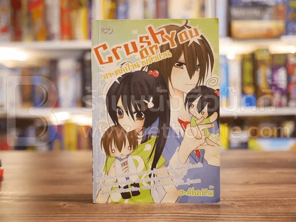 Crush on You กระแทกใจนายตัวป่วน รูปที่ 1
