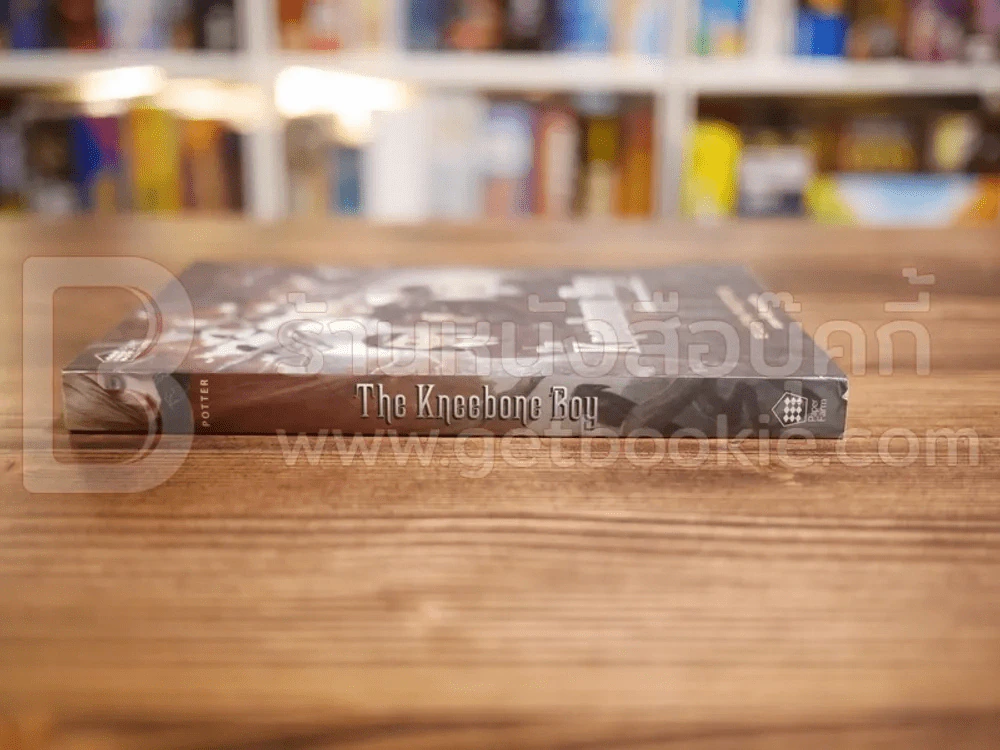 The Kneebone Boy เด็กชายตระกูลนีโบน รูปที่ 2