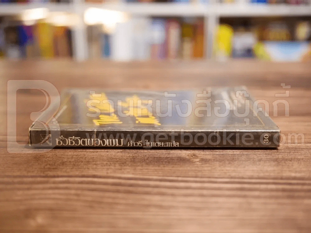 ชั่วชีวิตของผม The Catcher in the Rye รูปที่ 2