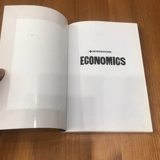 หัวใจเศรษฐศาสตร์ Introducing Economics รูปที่ 4