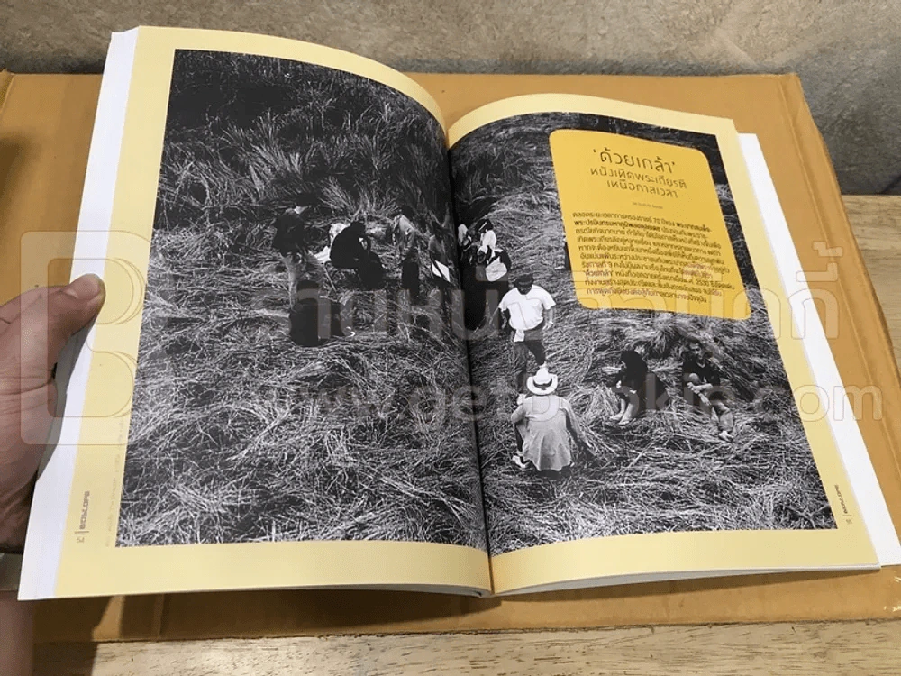 หนังไทยในรัชกาลที่ 9 Bioscope รูปที่ 4