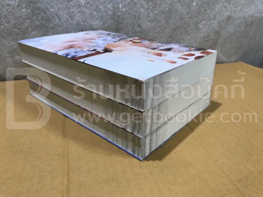 ลิขิตรักด้ายแดง 3 เล่มจบ รูปที่ 8