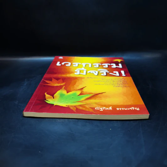 เวรกรรมมีจริง รูปที่ 6
