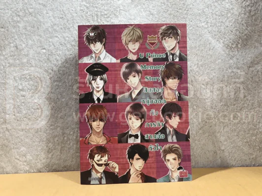 U Prince Memory Story สิบสองหนุ่มฮอตกับภารกิจสานต่อหัวใจ รูปที่ 1