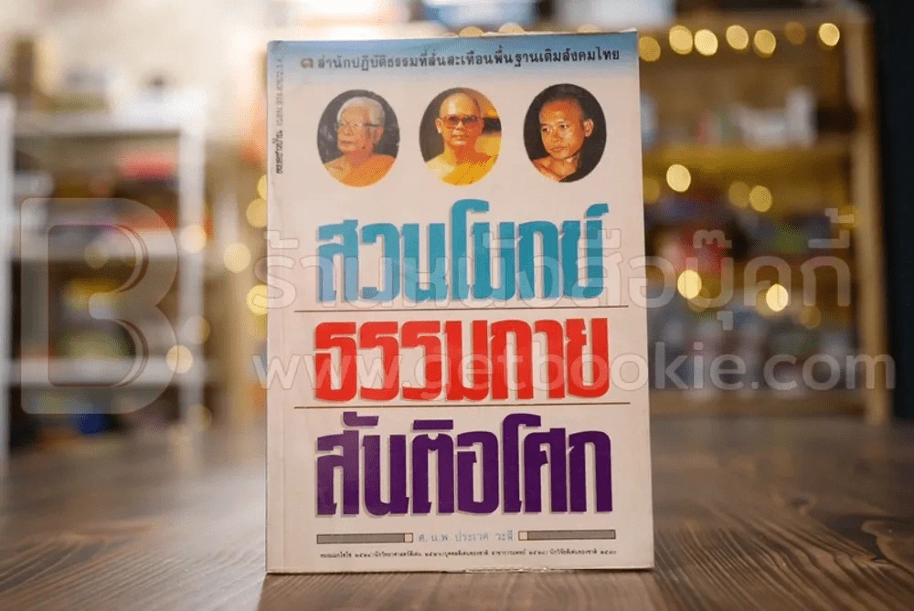 สวนโมกข์ ธรรมกาย สันติอโศก - ศ.น.พ.ประเวศ วะสี รูปที่ 1
