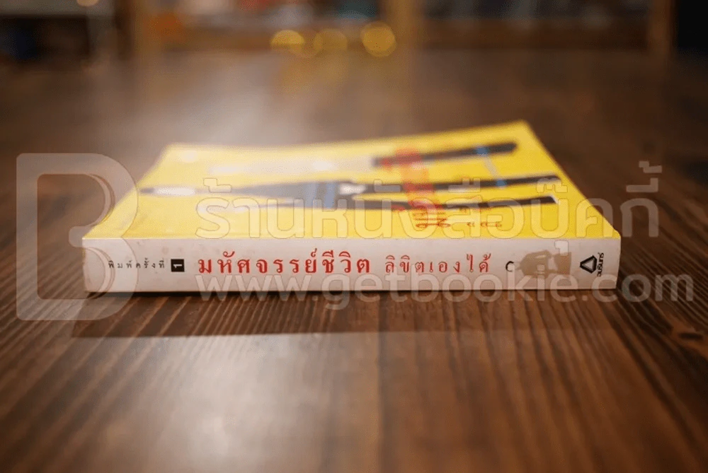 มหัศจรรย์ชีวิต ลิขิตเองได้ - จำนง เทพหัสดิน ณ อยุธยา รูปที่ 2