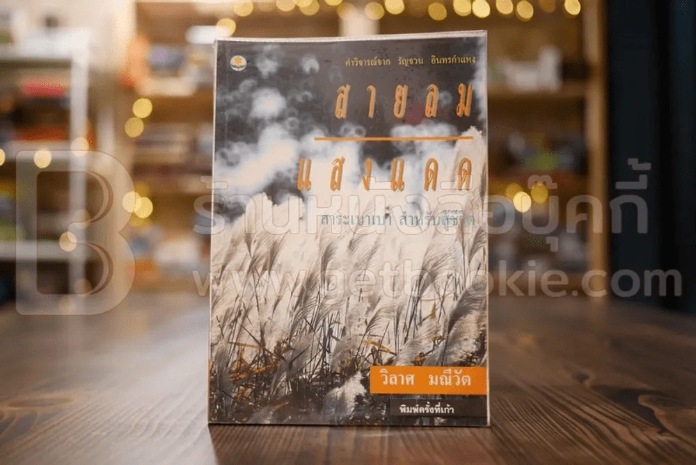 สายลม-แสงแดด - วิลาศ มณีวัต (สภาพบวมน้ำ) รูปที่ 1