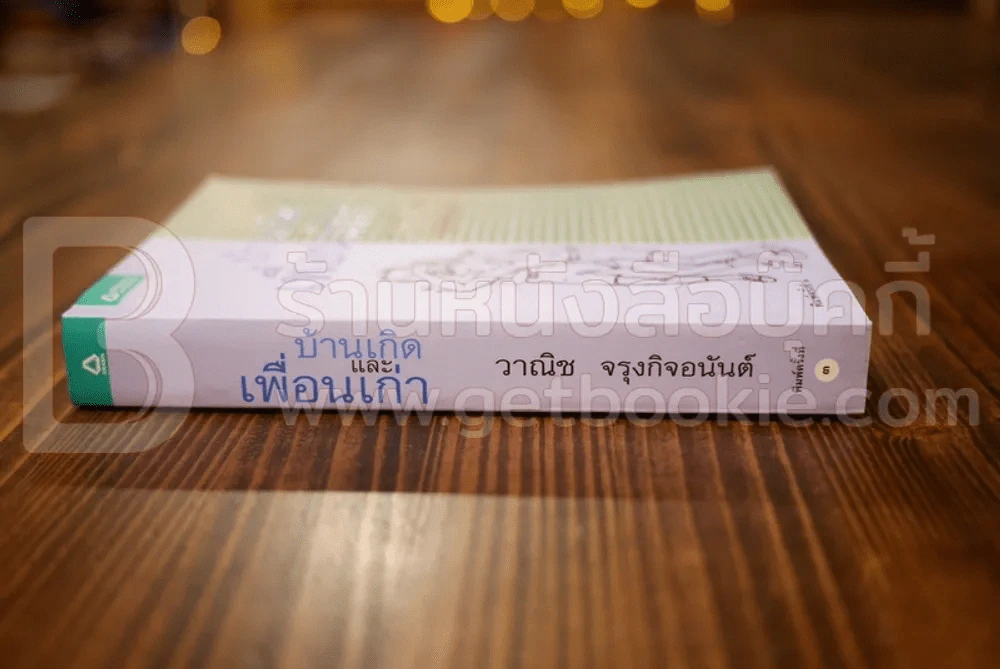 บ้านเกิดและเพื่อนเก่า - วานิช จรุงกิจอนันต์ รูปที่ 2