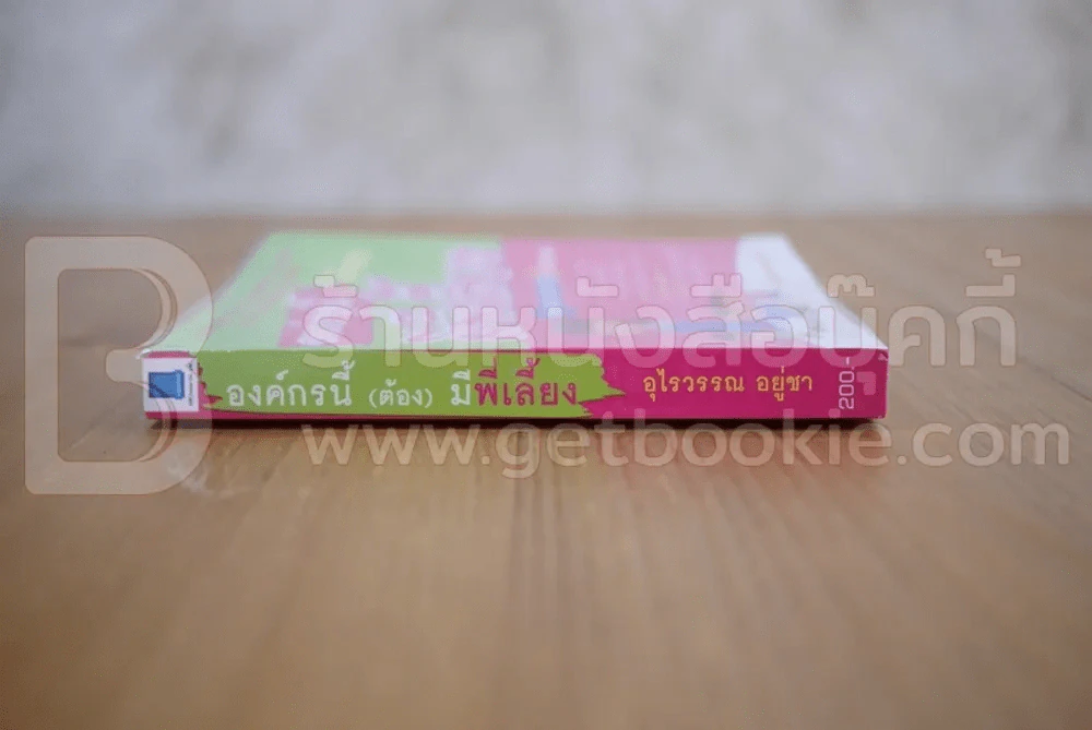 องค์กรนี้(ต้อง)มีพี่เลี้ยง รูปที่ 2