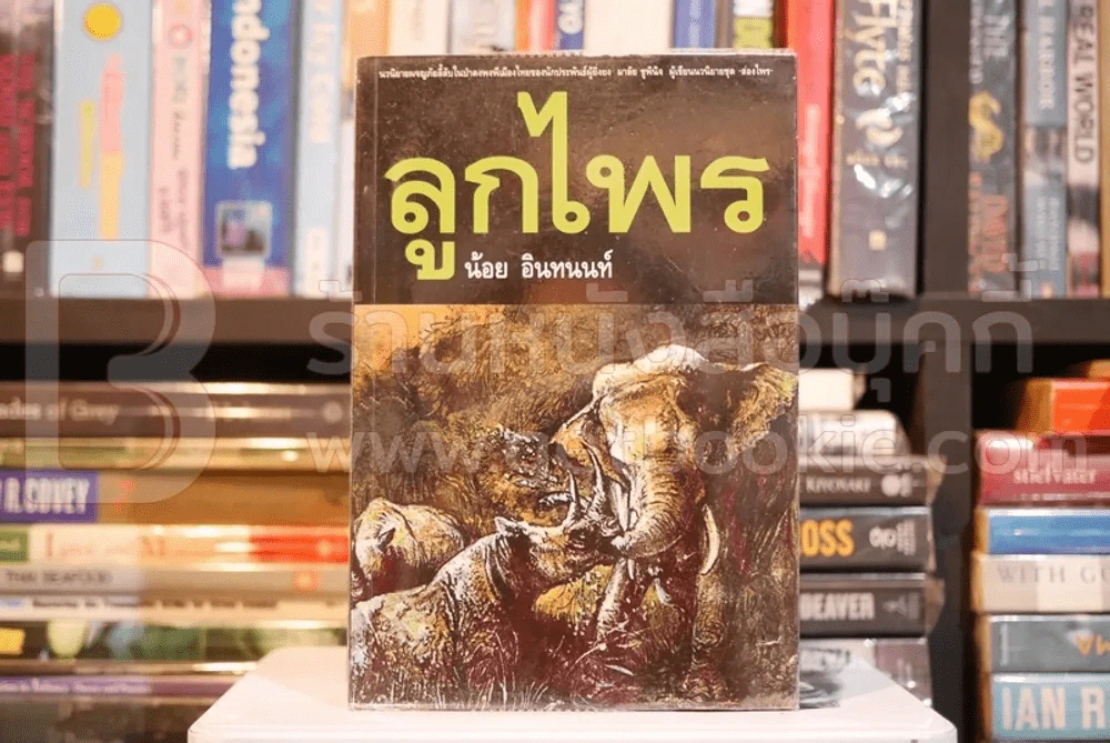 ลูกไพร - น้อย อินทนนท์ รูปที่ 1