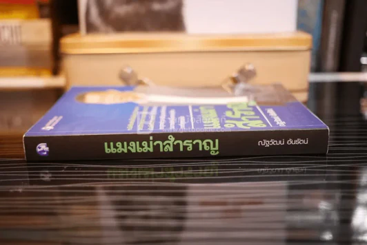 แมงเม่าสำราญ (มีรอยขีดเขียน) รูปที่ 2