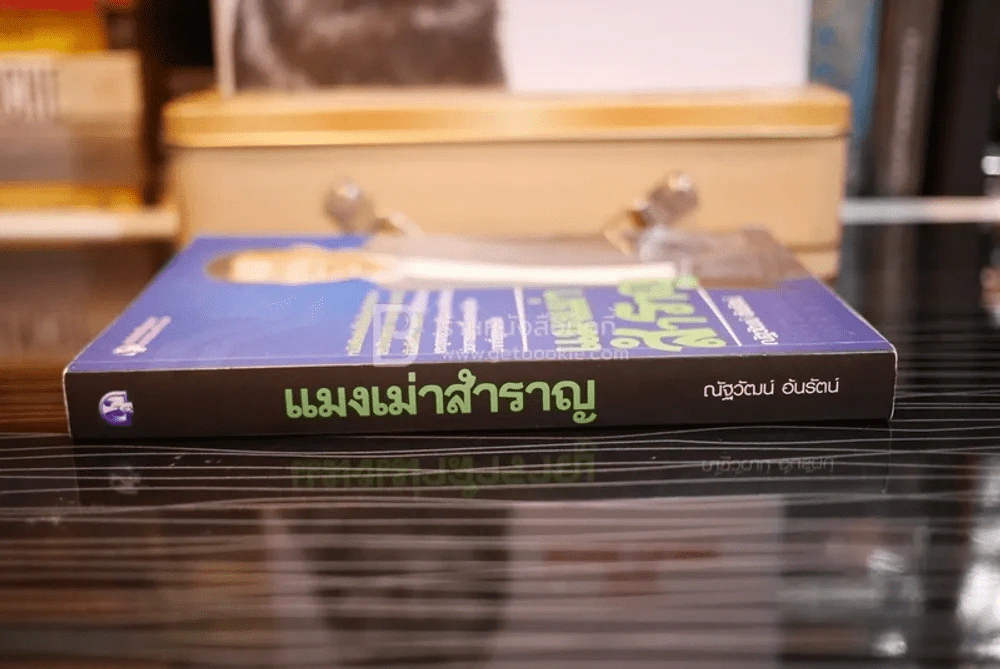 แมงเม่าสำราญ (มีรอยขีดเขียน) รูปที่ 2