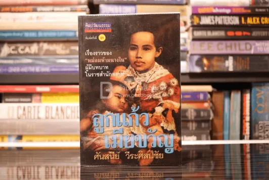 ลูกแก้วเมียขวัญ - ศันสนีย์ วีระศิลป์ชัย รูปที่ 1