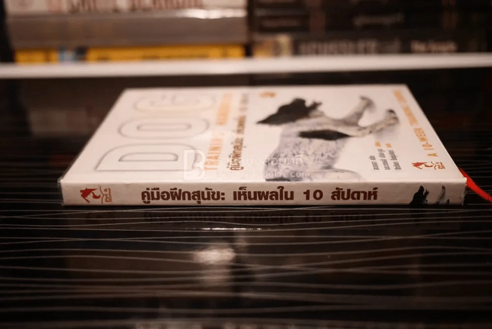 คู่มือฝึกสุนัข: เห็นผลใน 10 สัปดาห์ รูปที่ 2