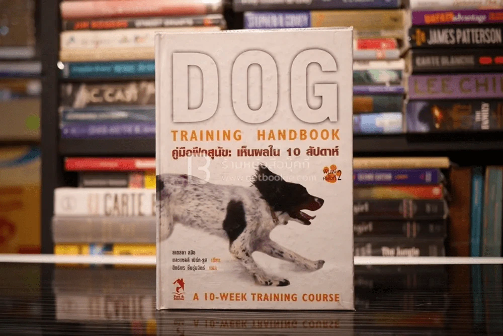คู่มือฝึกสุนัข: เห็นผลใน 10 สัปดาห์ รูปที่ 1