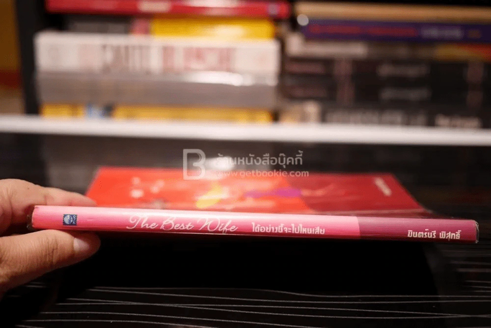 ได้อย่างนี้จะไปไหนเสีย The Best Wife - มินตร์นรี พิสุทธิ์ รูปที่ 2
