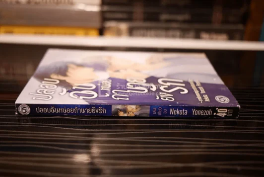 ปลอบฉันหน่อยถ้านายยังรัก รูปที่ 2