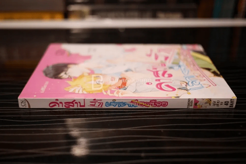 คำสาปรักเจ้าเหมียวน้อย รูปที่ 2
