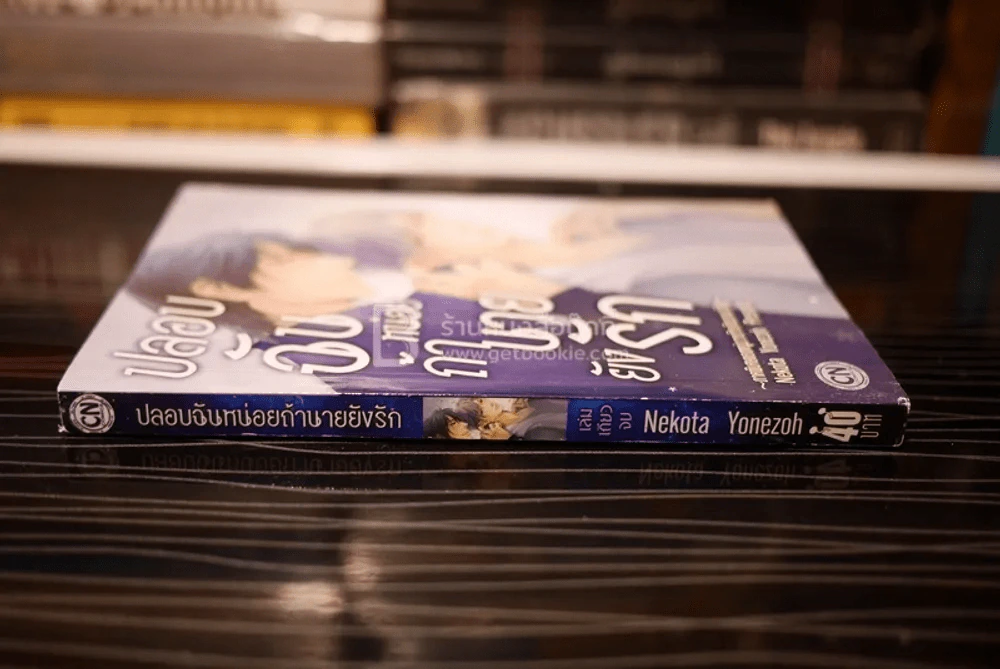 ปลอบฉันหน่อยถ้านายยังรัก รูปที่ 2