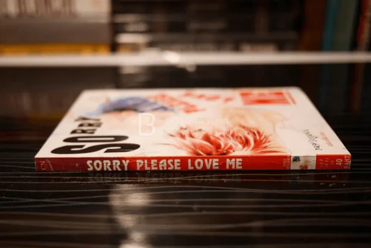 Sorry Please Love Me รูปที่ 2
