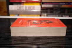 พยัคฆ์สาวโหมไฟสังหาร The Girl Who Played With Fire - Stieg Larsson นพดล เวชสวัสดิ์ แปล รูปที่ 3