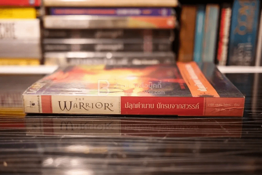 ปลุกตำนาน นักรบจากสวรรค์ The Warriors รูปที่ 2