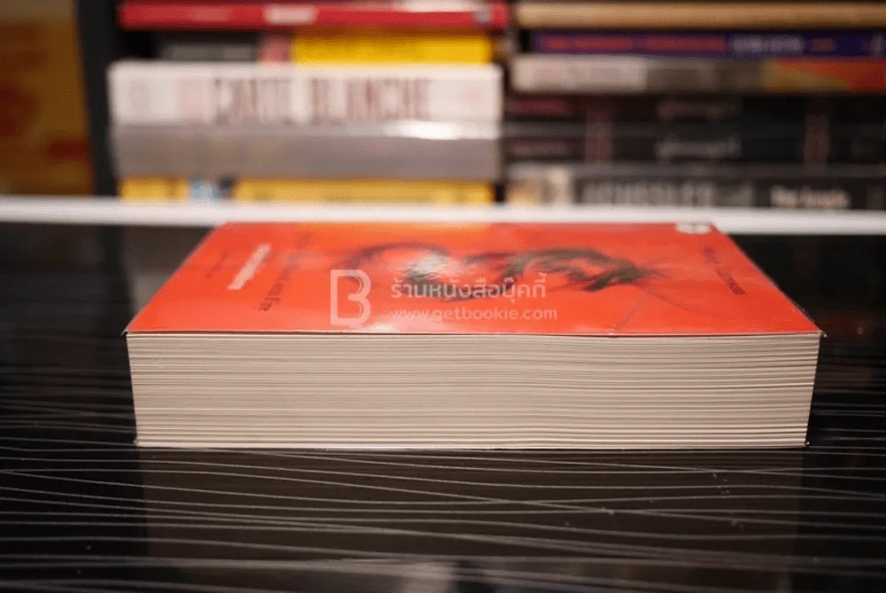 พยัคฆ์สาวโหมไฟสังหาร The Girl Who Played With Fire - Stieg Larsson นพดล เวชสวัสดิ์ แปล รูปที่ 3