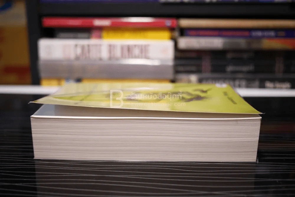 พยัคฆ์สาวเตะรังแตน The Girl Who Kicked The Hornet's Nest Stieg Larsson นพดล เวชสวัสดิ์ แปล รูปที่ 3