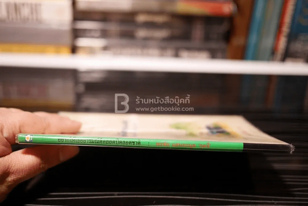 อยากให้เธออารมณ์ดีตลอดปีตลอดชาติ - พรชัย แสนยะมูล 'กุดจี่' รูปที่ 2