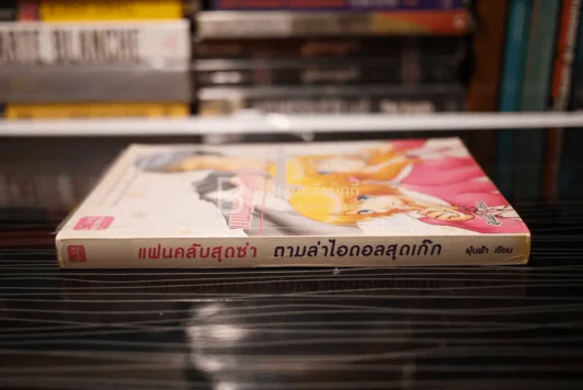 แฟนคลับสุดซ่า ตามล่าไอดอลสุดเก๊ก รูปที่ 2